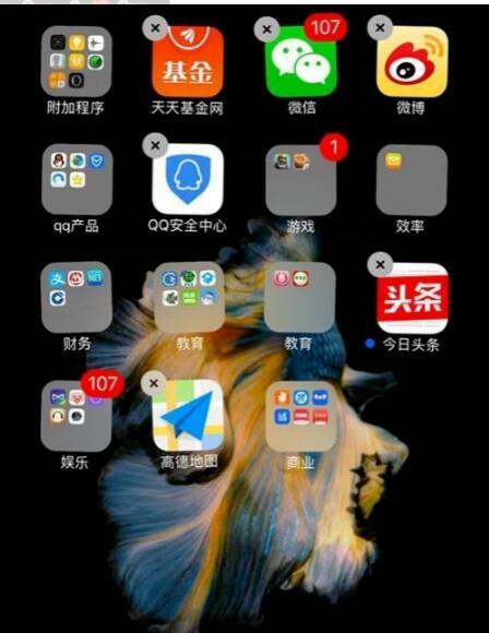 揭秘手机桌面隐藏技巧，隐藏你的隐私不再是梦想（探索手机桌面隐藏图标的方法，保护个人信息安全）