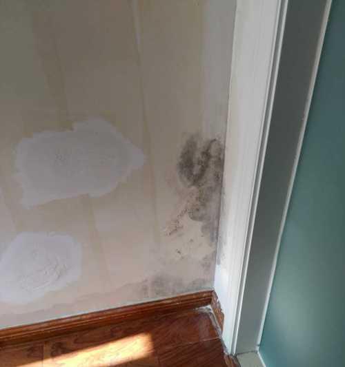 如何修复天花板漏水造成的墙面损坏？（快速有效的修复方法与注意事项）
