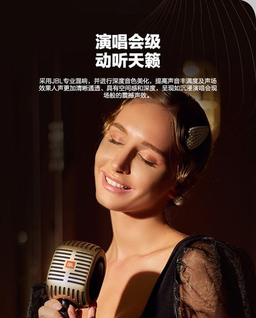 话筒音响一体麦克风品牌排行榜揭晓（音质优秀、性能稳定、品牌声誉无可挑剔）