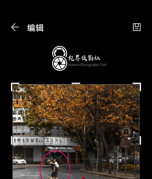 九宫格摄影构图技巧分享（打造出色构图，表现更丰富画面）