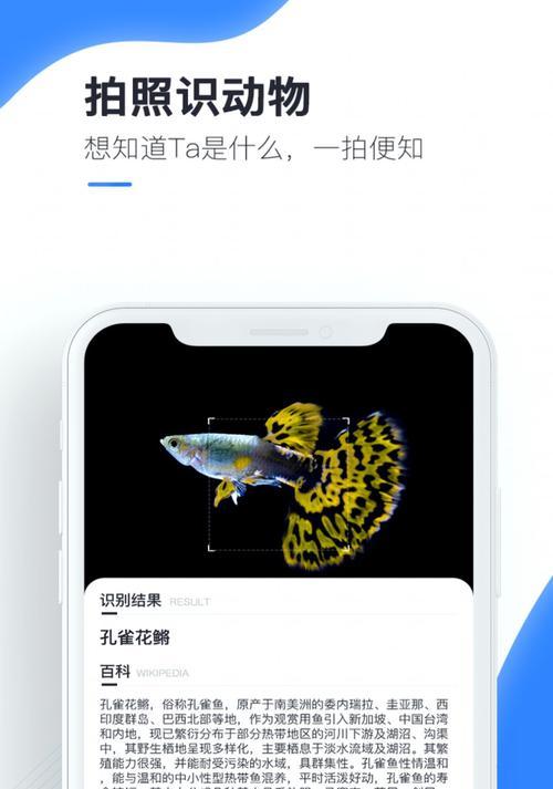 免费做图的app软件推荐（简单实用、功能丰富的免费做图软件，满足你的创作需求）
