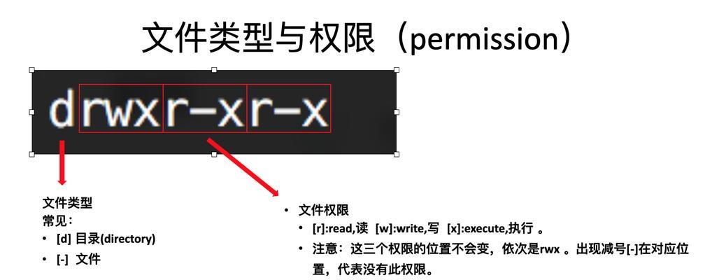 Unix还是Linux？一场操作系统之战的选择（探究Unix与Linux的差异，帮助你做出选择）