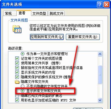 揭秘隐藏文件和文件夹（探索隐藏文件和文件夹的奥秘）