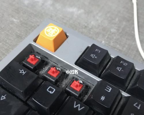 如何正确清理机械键盘（有效保养机械键盘的清洁方法）