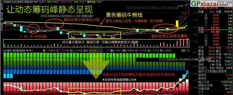 掌握筹码分布图，成为投资高手（初学者必备的技巧与实用指南）