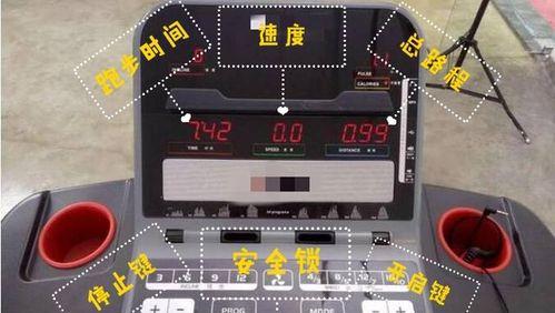 如何正确使用跑步机保持健康（掌握跑步机的正确姿势）