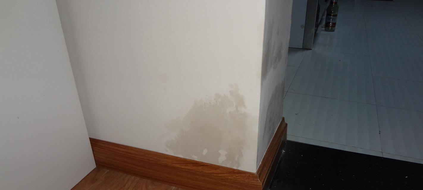 家庭墙体渗水处理方法（有效应对家里墙体漏水问题）