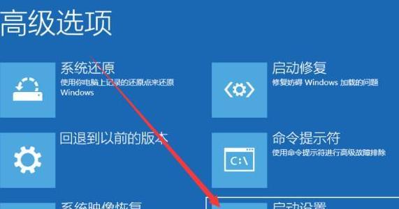 电脑Windows无法启动处理措施（解决Windows启动问题的有效方法）