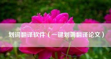 免费英语翻译器软件推荐（快捷、准确、免费的翻译工具——让你的语言无障碍）