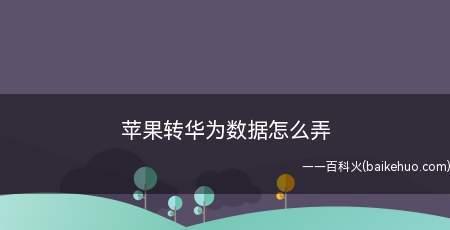 使用新购买的苹果手机传输数据的详细步骤（简单易行的数据传输方式）