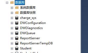 深入了解数据库mdf和ldf文件的打开方式（探索mdf和ldf文件的打开方式及关键技巧）