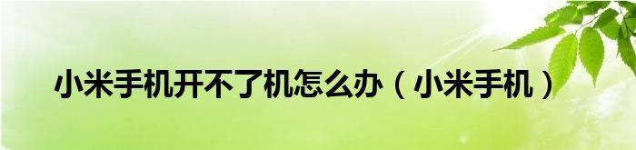 电脑突然无法开机怎么办（解决电脑开机故障的方法与技巧）