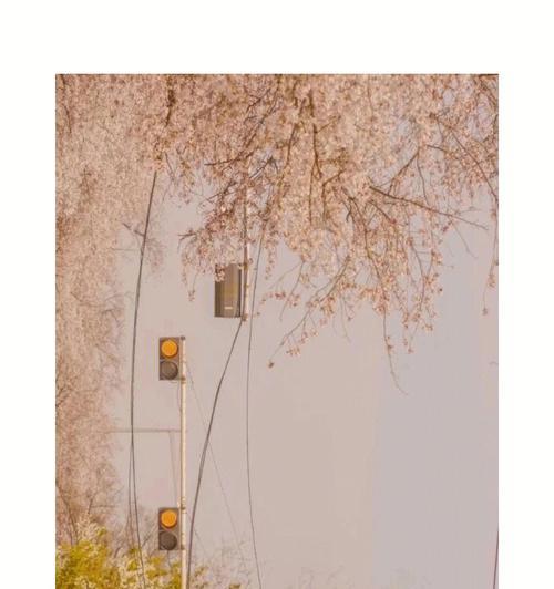 如何保存Instagram照片原图（简单方法让你轻松保存Ins照片的高清原图）