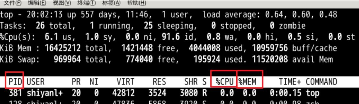 Linux内存管理与使用详解（深入了解Linux内存使用情况及优化方法）