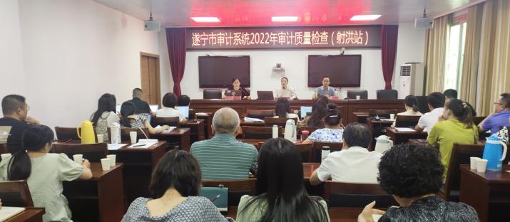 以问题线索管理台账优化工作流程的关键性（提高效率）