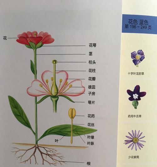 电脑玩CF卡屏的原因（为什么越来越多人选择使用CF卡屏来玩电脑游戏）