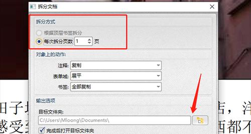 如何解除PDF文件忘记密码（忘记密码时如何盘点PDF文件以找回访问权限）