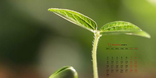 电脑屏幕护眼最佳参数设置指南（调整电脑屏幕参数）