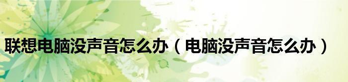 电脑主机没声音解决方法（轻松解决电脑主机无声问题）