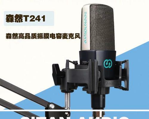 2024年声卡麦克风品牌排行榜公布（揭秘最受欢迎的声卡麦克风品牌及其关键竞争因素）