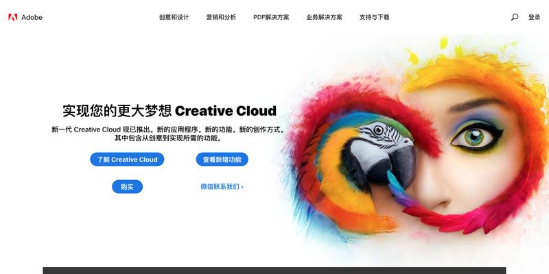 探索支持Flash插件的浏览器（为何Flash插件依然备受关注）