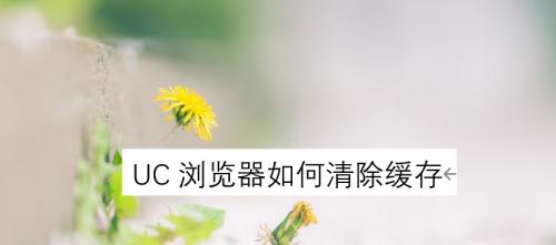 清除浏览器缓存（通过清除浏览器缓存）