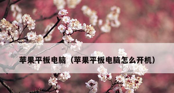 平板电脑连不上网的原因及解决方法（探究平板电脑无法连接网络的几大问题）