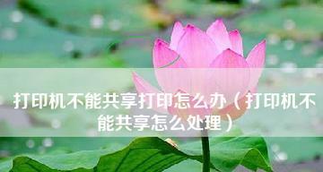 共享打印机无法打印的解决办法（解决共享打印机无法正常工作的常见问题及方法）