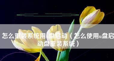 电脑系统盘安装步骤图解（简易操作）