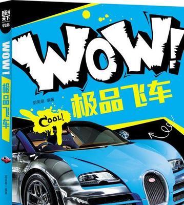 《极品飞车9中文版秘籍大揭秘》（掌握绝技）