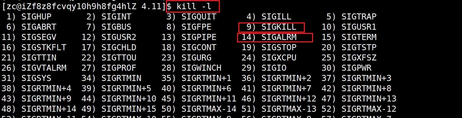 Linux下查看进程命令行的方法（使用ps和top命令进行进程监控与管理）