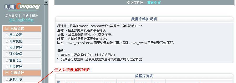 网站维护操作流程解析（深入了解网站维护的步骤和技巧）