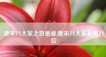探寻唐宋八大家的文学传承之路（唐宋八大家——文化遗产的瑰宝）