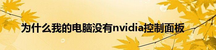 解决电脑网络适配器设置无法打开的问题（排除电脑网络适配器设置无法打开的常见原因及解决方法）