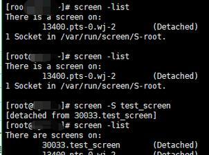 Linux命令行的强制退出方法（了解如何快速）