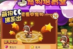 探寻洛克王国绝版宠物蛋代码的奥秘（揭开绝版宠物蛋代码背后的神秘面纱）