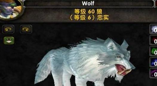 《魔兽世界猎人宝宝大全及坐标》（详细介绍魔兽世界中所有猎人宝宝的获取方式和位置）