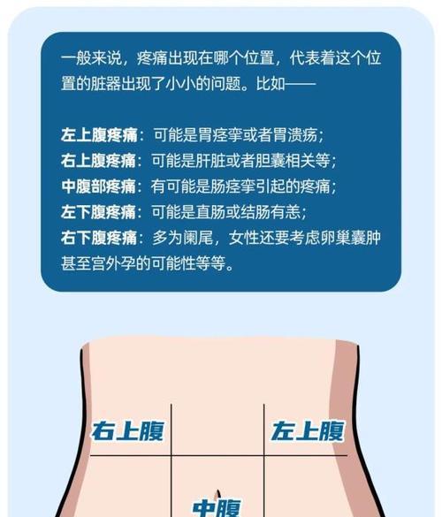 常见肚子痛可能预示的四种疾病（了解肚子痛背后的警示信号）