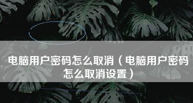 如何重新设置开机密码，保护个人信息安全（简易教程帮助您快速设定安全的开机密码）