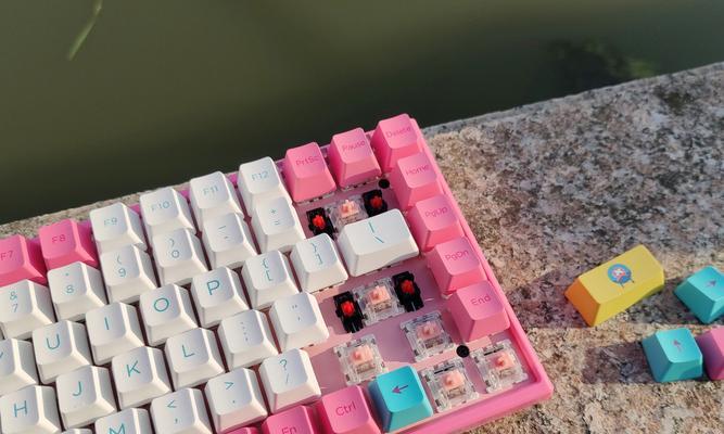 AKKO键盘使用说明书分享（掌握AKKO键盘的实用技巧）
