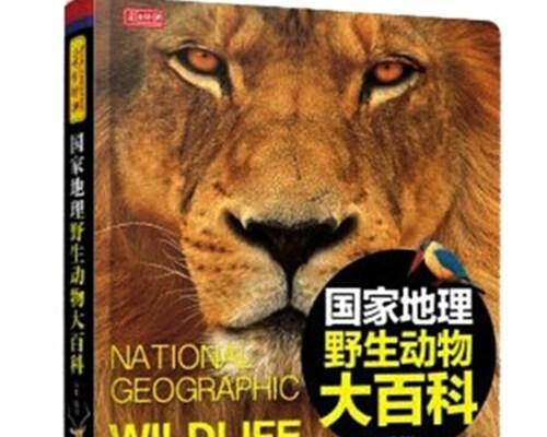 森林电脑版作弊码大全（探索无尽可能性）
