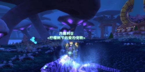 猎人稀有宠物一览表（探索猎人的私藏）