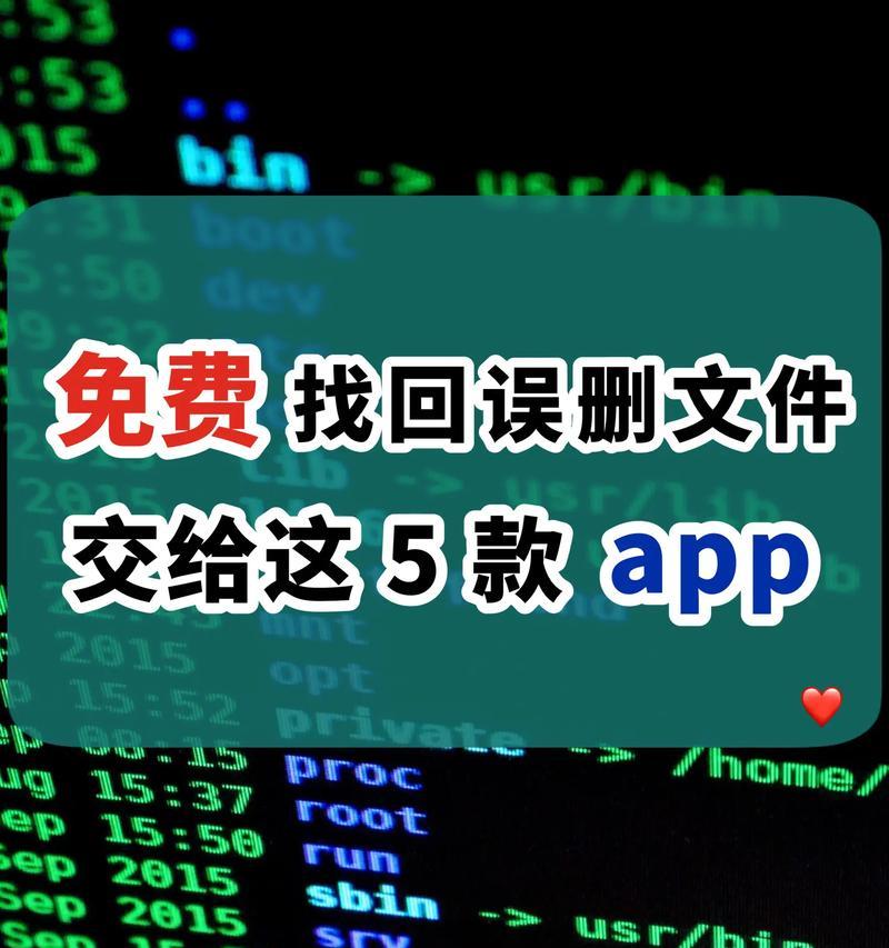 如何恢复不小心清空的回收站文件（简单操作让您迅速找回被清空的文件）