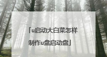 如何制作大白菜U盘启动盘（简单易懂的制作方法）