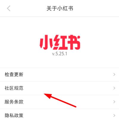 小红书个人博主快速涨粉的窍门（掌握这个关键）