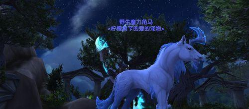 《探索魔兽世界中最珍贵的猎人宝宝》（与你分享在魔兽世界中收集稀有宠物的乐趣与技巧）