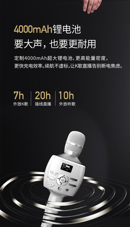 2024年最受欢迎的话筒音响一体麦克风品牌排行榜（精选一流品牌）