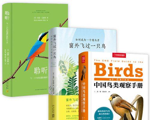 追求爱情的最佳方式——让心动成为现实的秘籍（如何巧妙地追逐心仪的人并成功抓住他们的心）