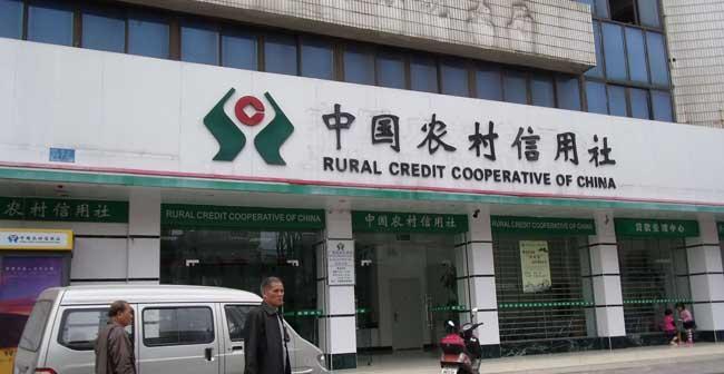 信用社贷款10万的条件及申请流程解析（信用社贷款10万需要的条件和申请步骤）