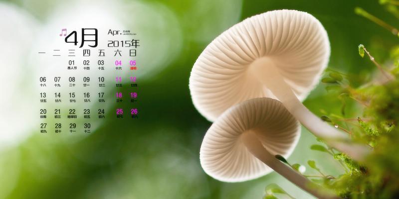 如何关闭360日历精选广告（轻松摆脱广告骚扰）